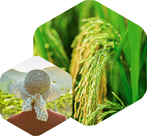 农用有机硅助剂 农用有机硅助剂