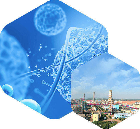 江西海多有机硅材料股份有限公司